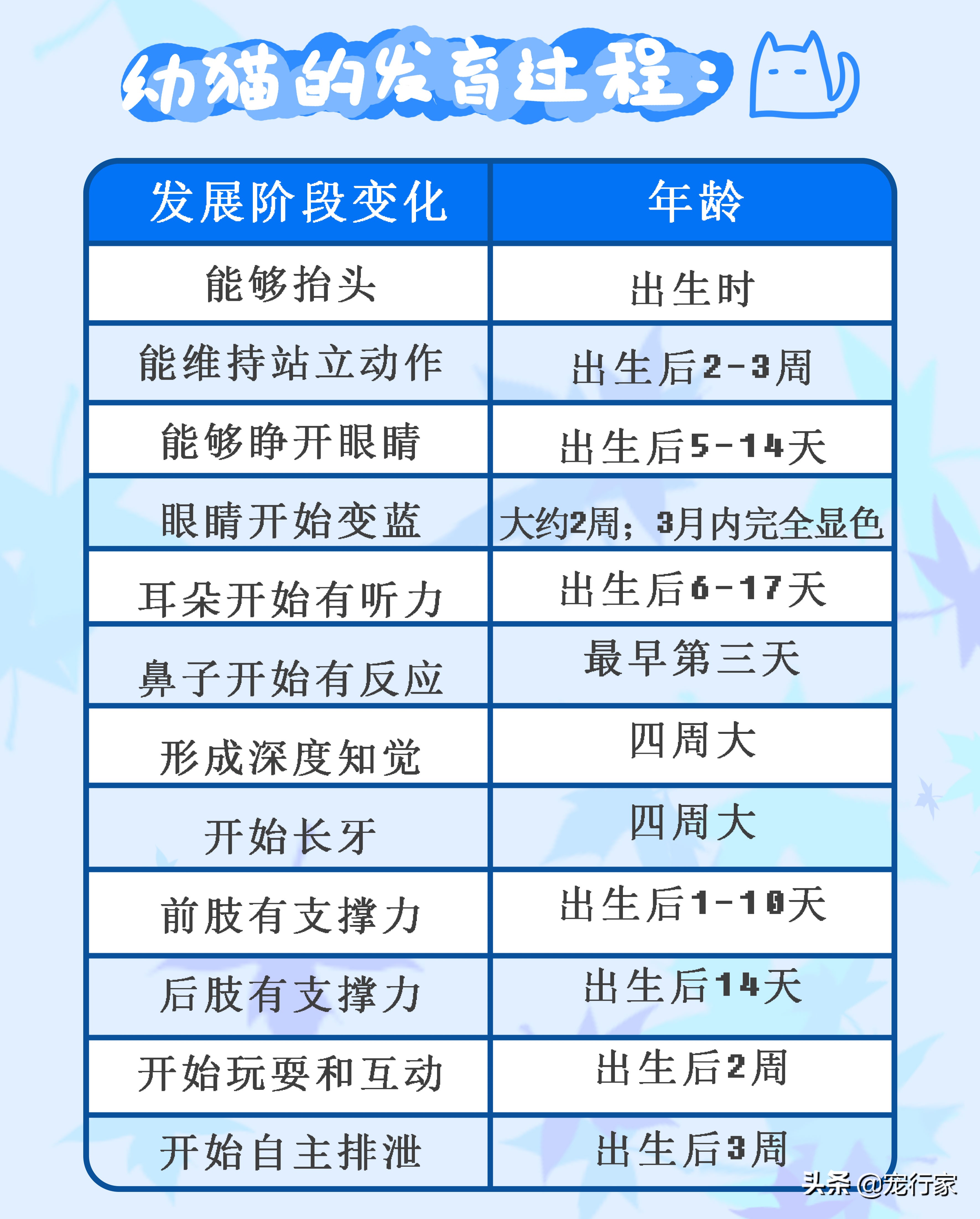 小猫刚生母猫没有母乳可以养活吗,刚出生三天的小猫没有猫妈妈