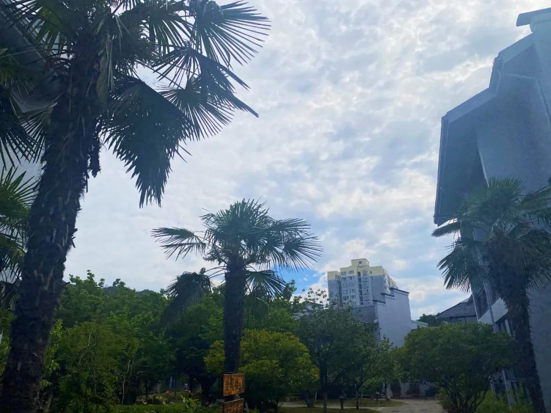 春树影舍畅享年卡，电影酒店+民宿，七夕送爱奇艺年卡会员等豪礼