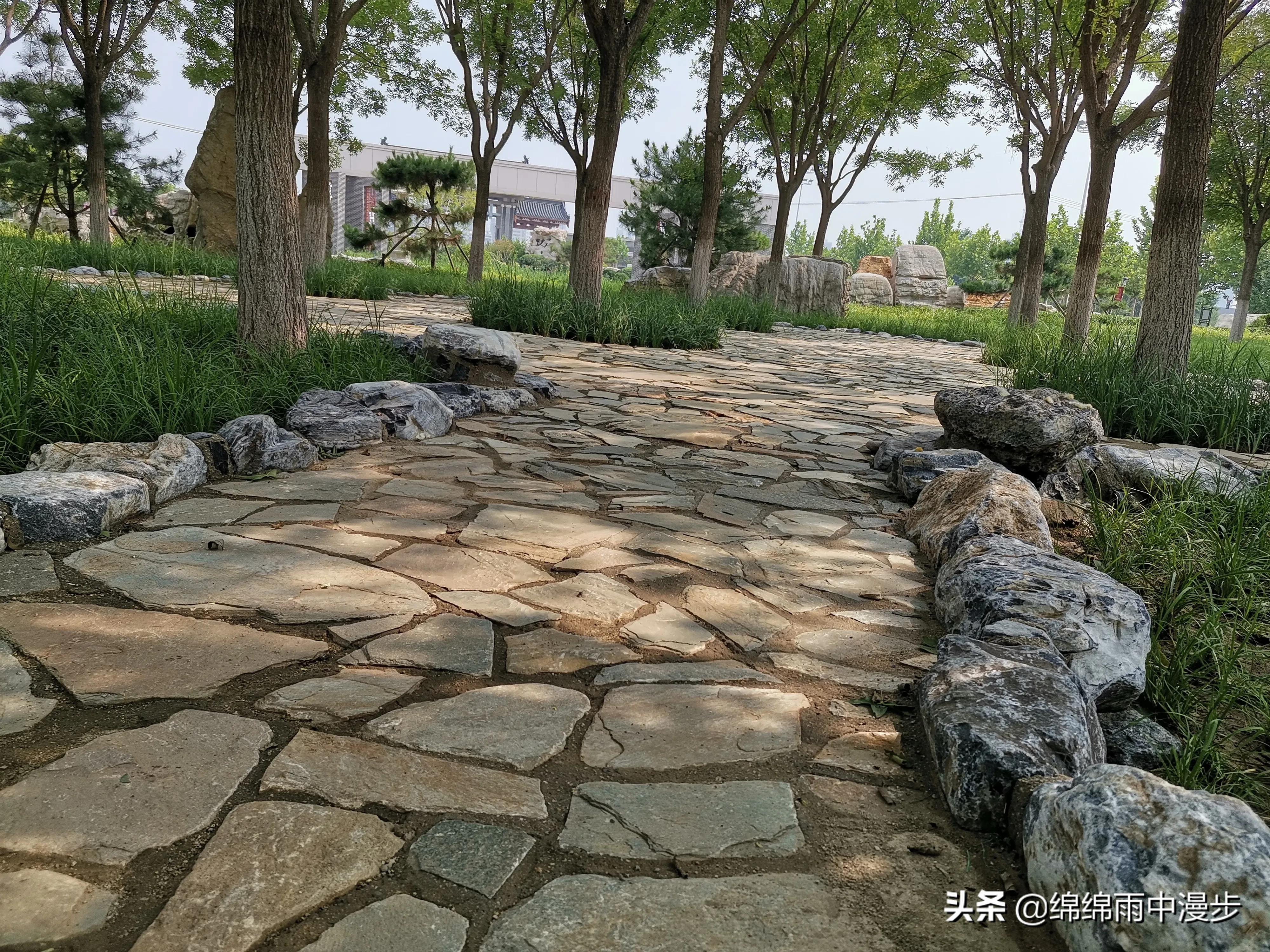 水西公园天津景点,水西公园天津在哪