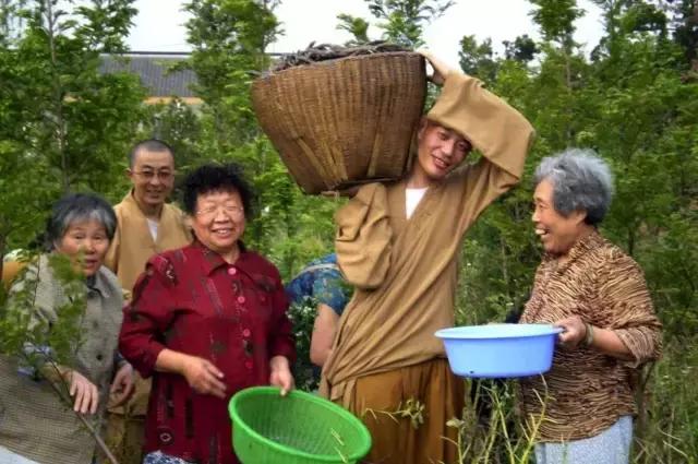 农禅并重的意义,农禅并重的寺院