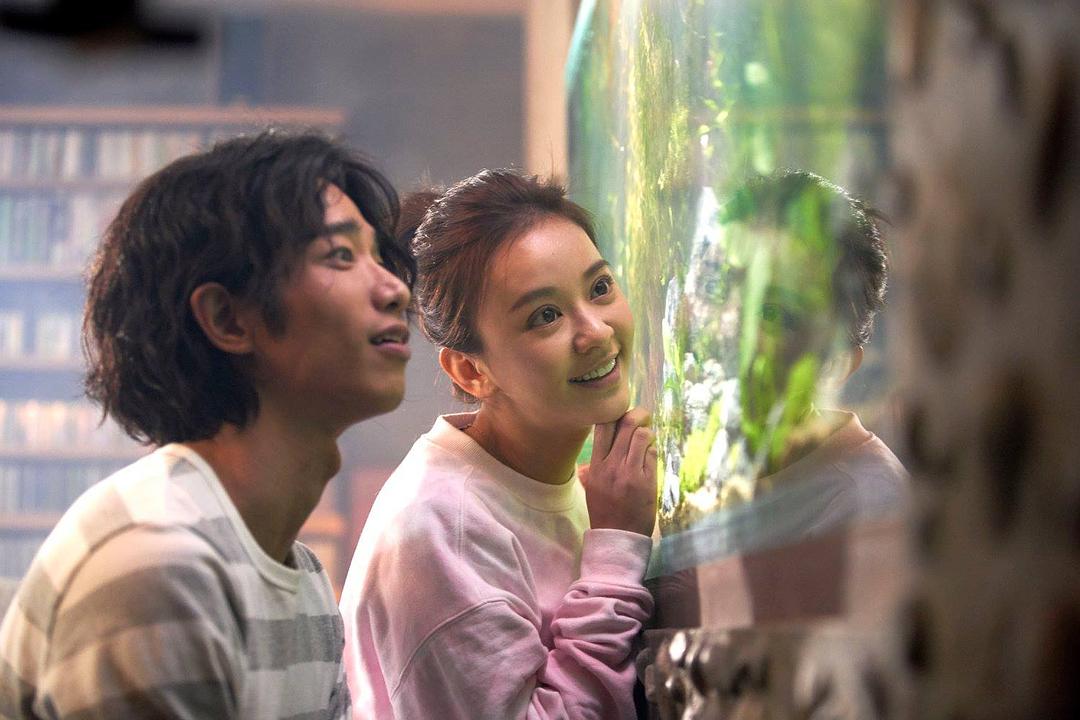 比悲伤更悲伤的故事是谁主演,比悲伤更悲伤的故事剧情详解