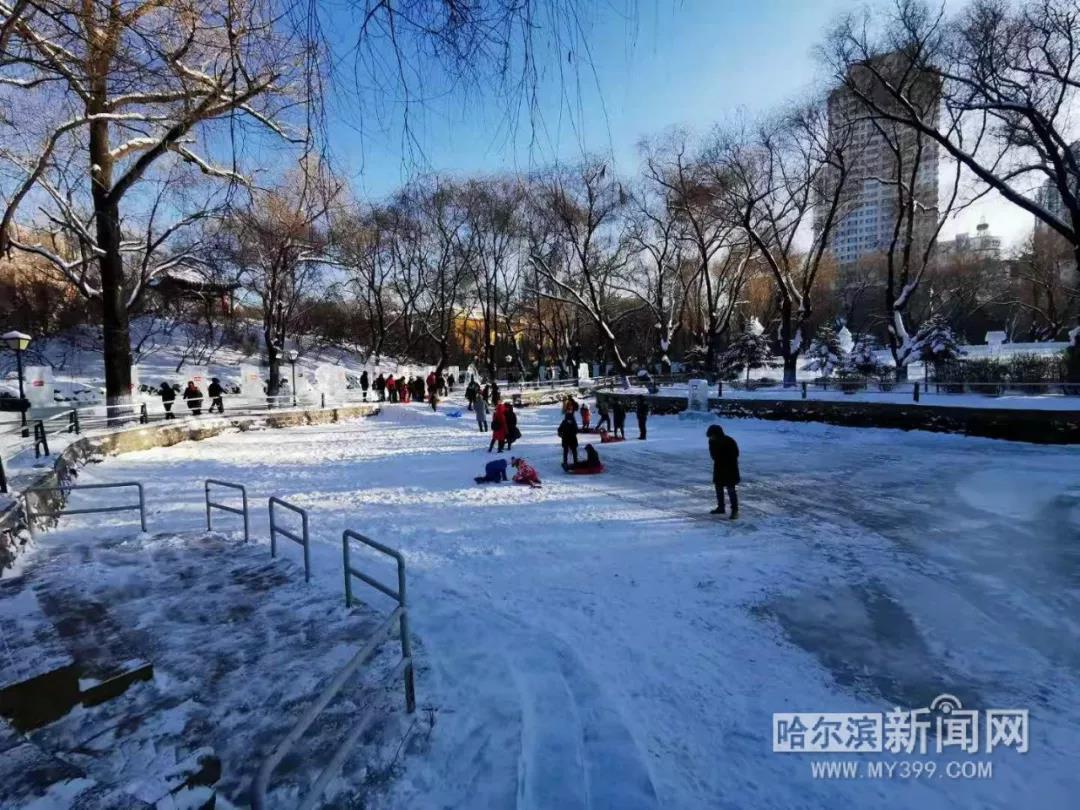 哈尔滨兆麟公园冰灯免费开放时间,哈尔滨第一届冰灯游园图片