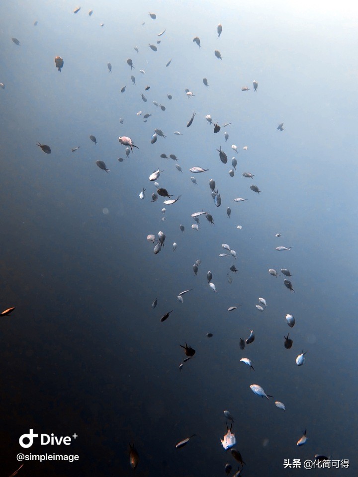 600元玩转澳门三天两夜全攻略,5000块钱玩菲律宾六个海岛