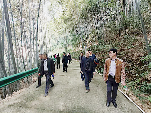 鄂州龙山风景区,鄂州新建景区