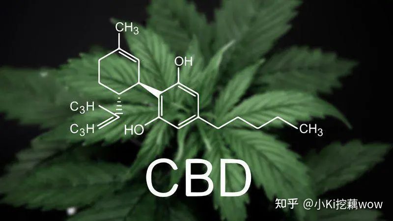 哪些产品有cbd成分,cbd是什么成分