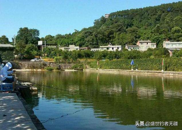 钓鲫鱼高手讲述配方,野钓高手分享的钓鲤鱼秘籍