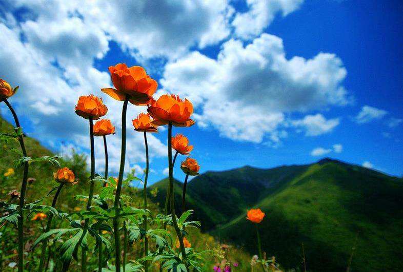 世外桃源相约驼梁