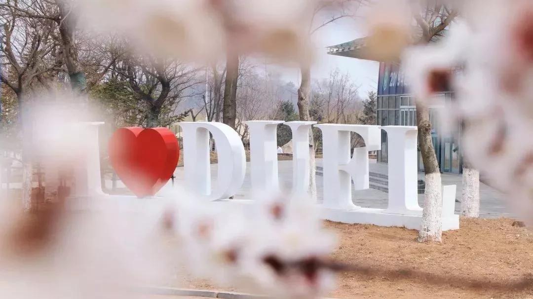 大连外国语大学2024年招生简章,大连外国语大学2021年研究生调剂