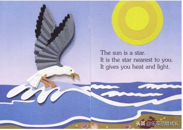 i am a star 英文绘本朗读 (i am a bunny绘本阅读中文翻译)