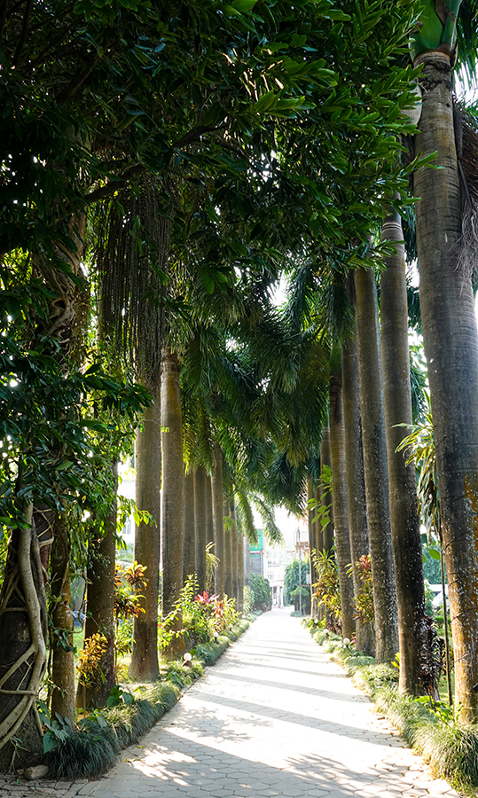 尼泊尔十堰,尼泊尔为什么这么穷