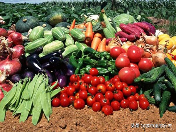 农村新电商扶贫模式,农村电商服务站怎么运作