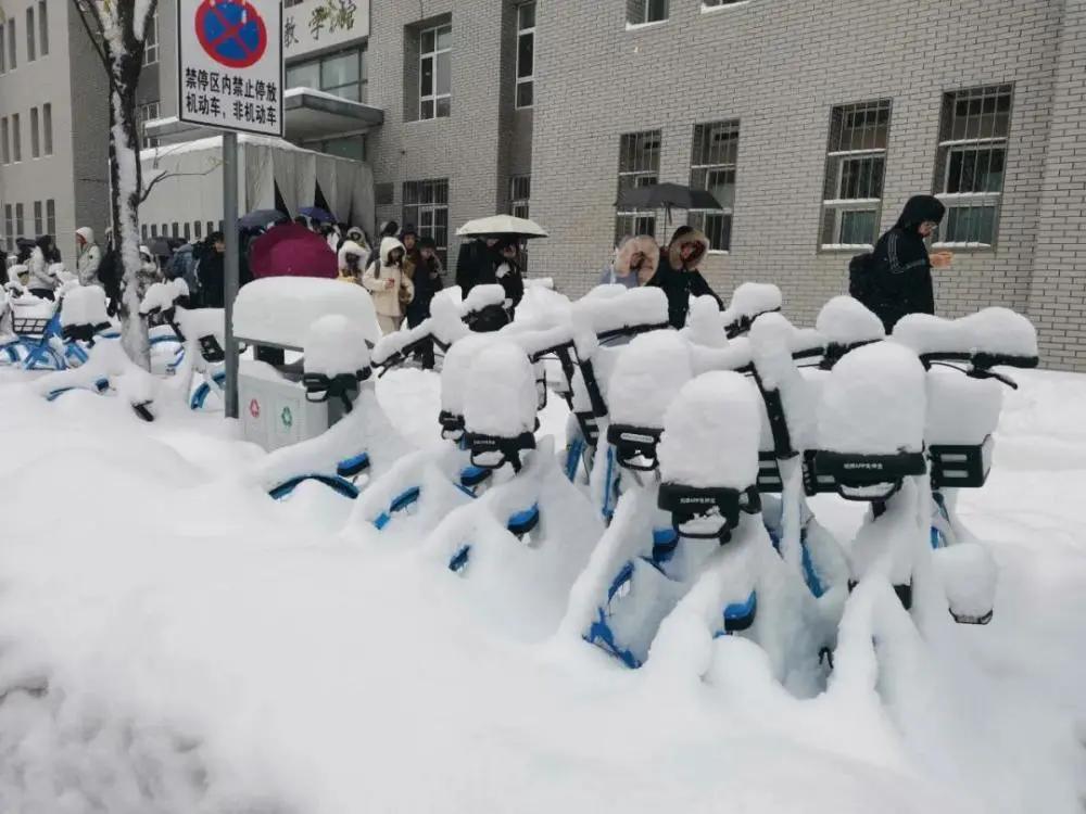 老罗鹅绒被推荐,网易严选鹅绒被测评