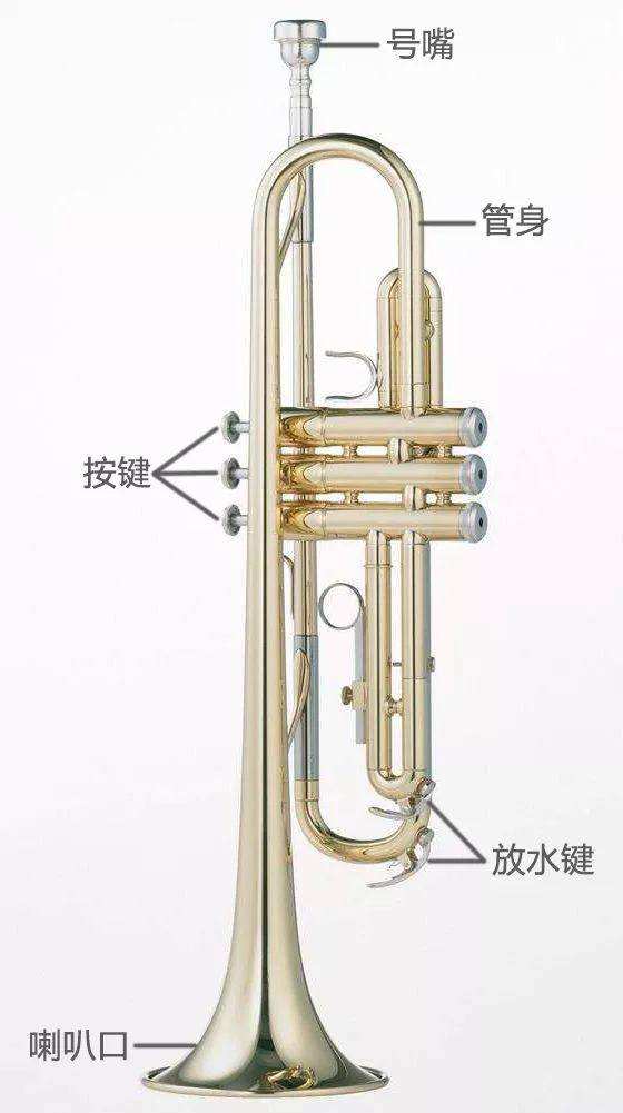 怎么分辨乐器声音,如何辨别乐器是什么调的