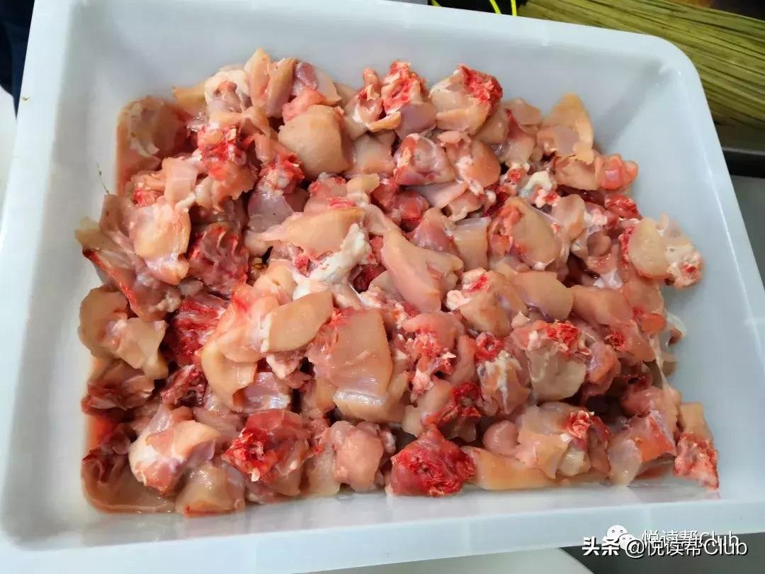 连成都人都赞不绝口的兔头空降安顺！这些兔兔还是安顺人自家养的