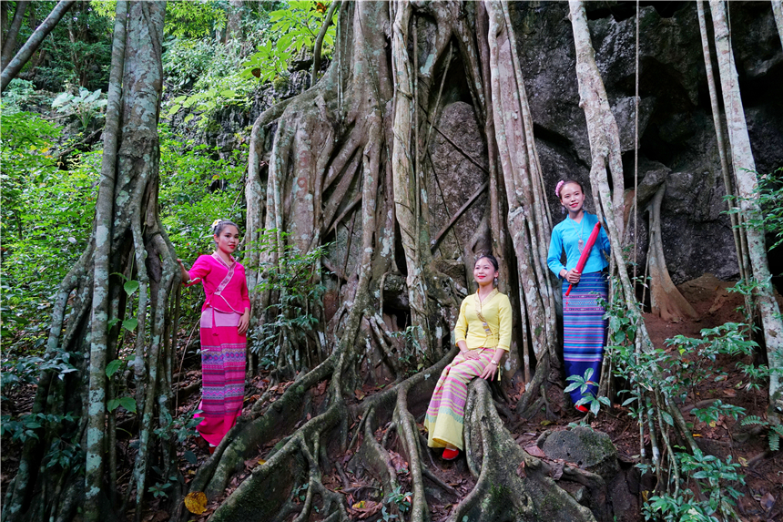 西双版纳旅游攻略最新,西双版纳旅游必去景点推荐野象谷