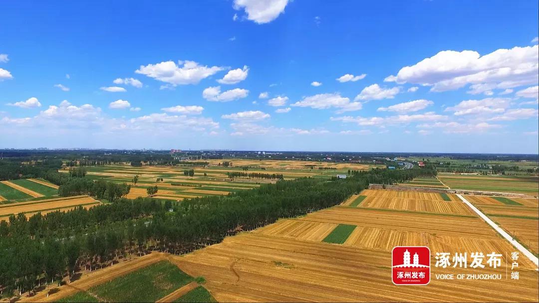 涿州高质量发展规划,持续发力加快推进项目建设