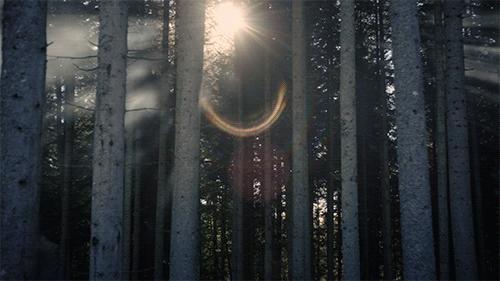 简媜的问候天空读后感,读简媜问候天空有感