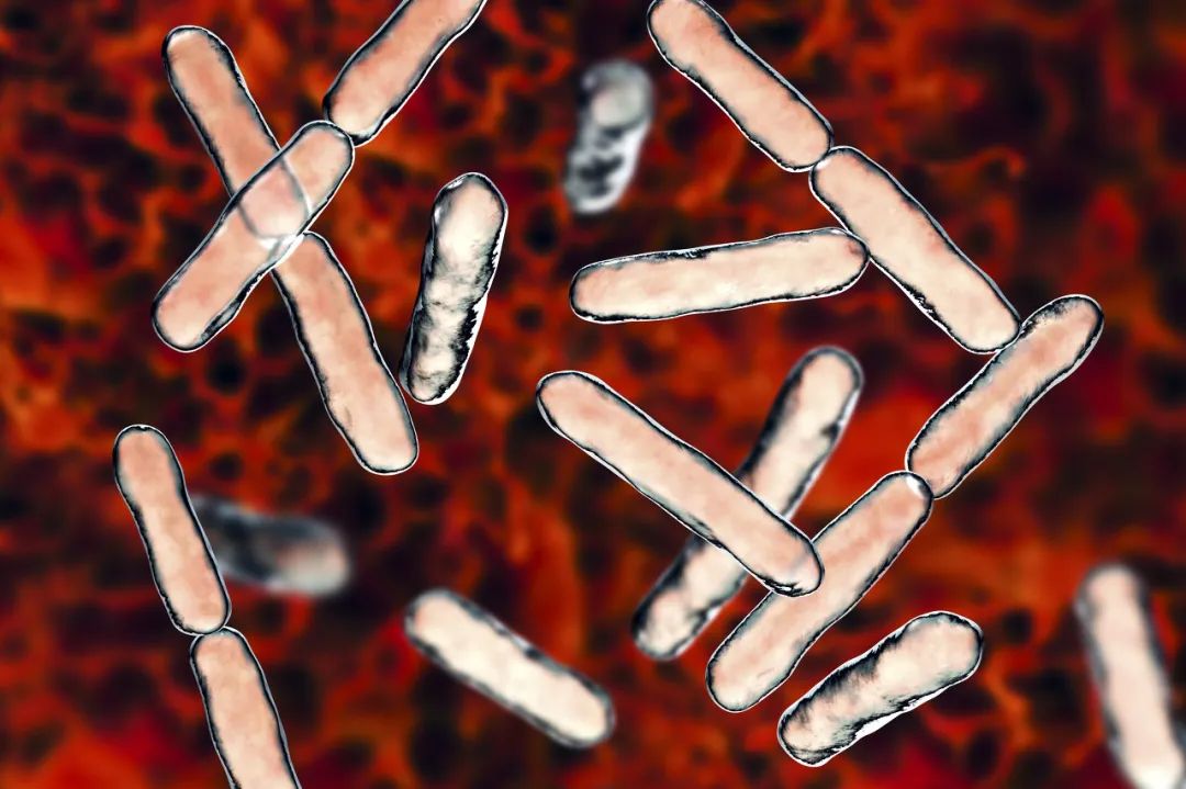 合生元产品不合格,合生元溯源码被揭开