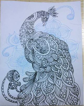 孔雀线描小学生一等奖画大全,黑色卡纸高光笔线描创意画孔雀