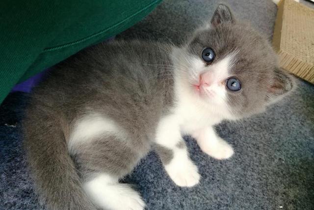 每周一篇深度的高质量的原创长文,万字长文吐血推荐