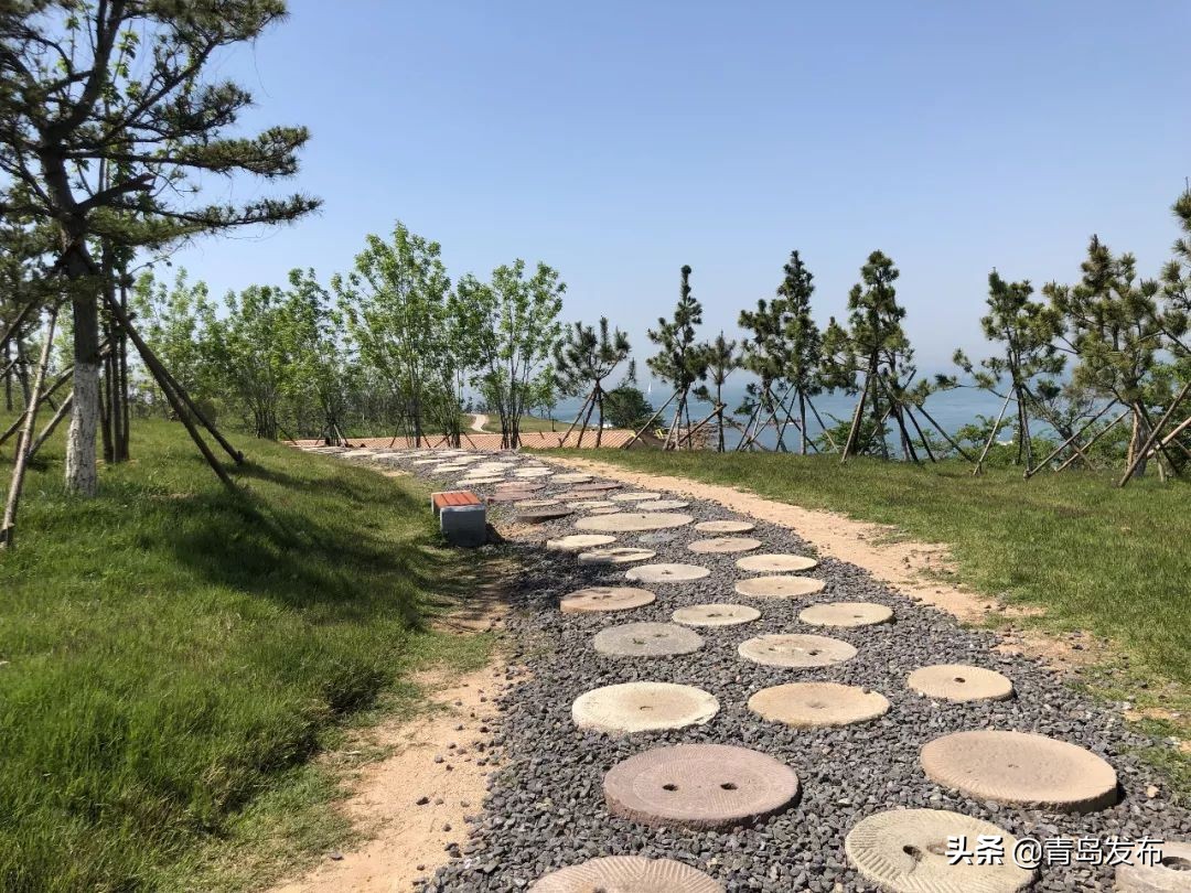 小麦岛风景青岛,小麦岛公园不一样的风景