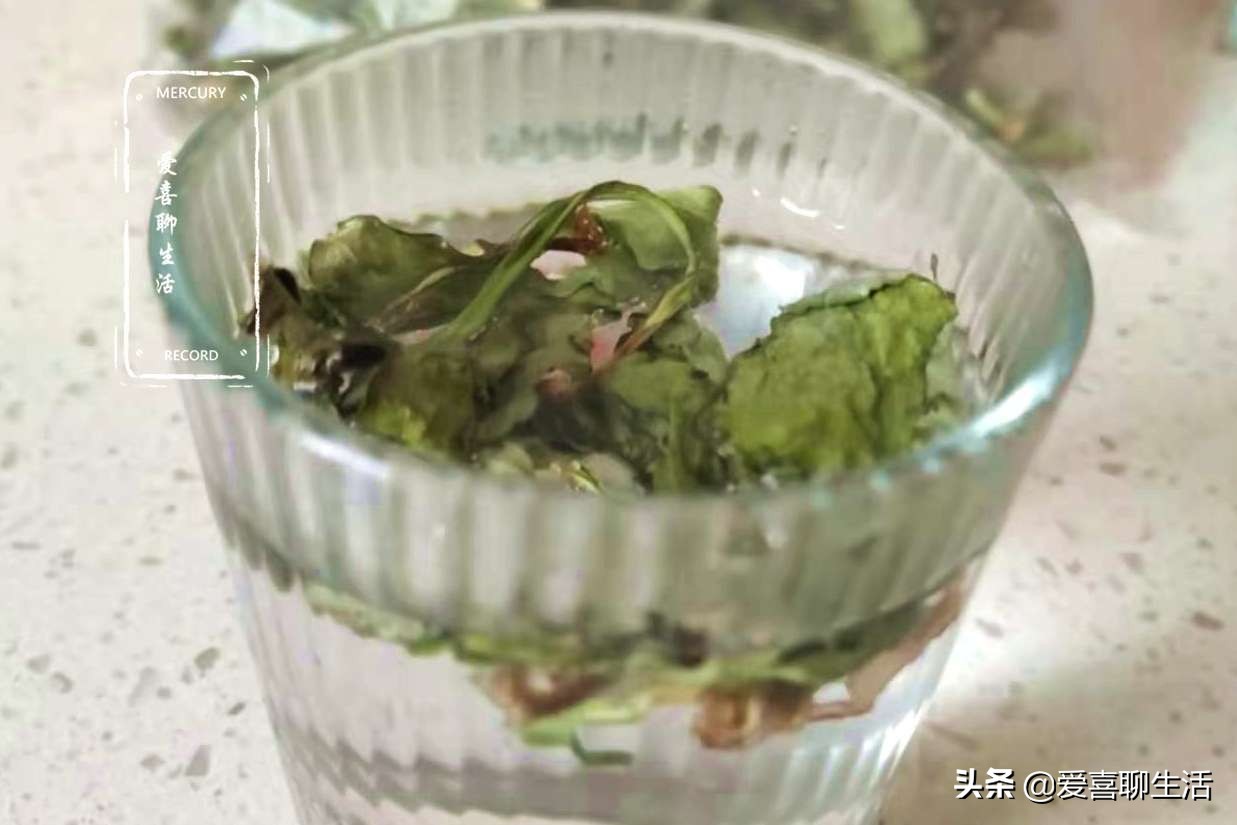 车前草新鲜,哪个季节的车前草泡水喝最好