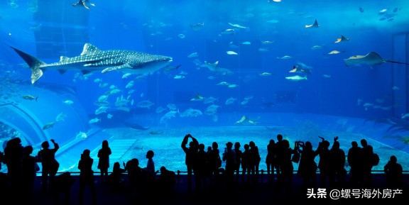 迪拜帆船酒店参观门票攻略,迪拜最高楼门票多少钱