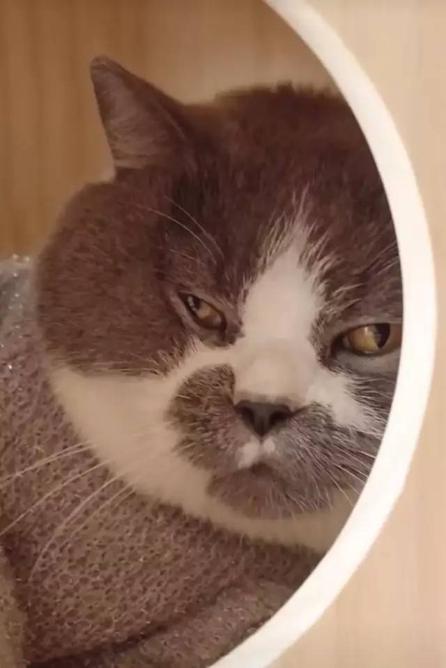 鼻子不通气鼻塞怎么办搞笑回答,鼻子堵住了怎么快速通气儿童