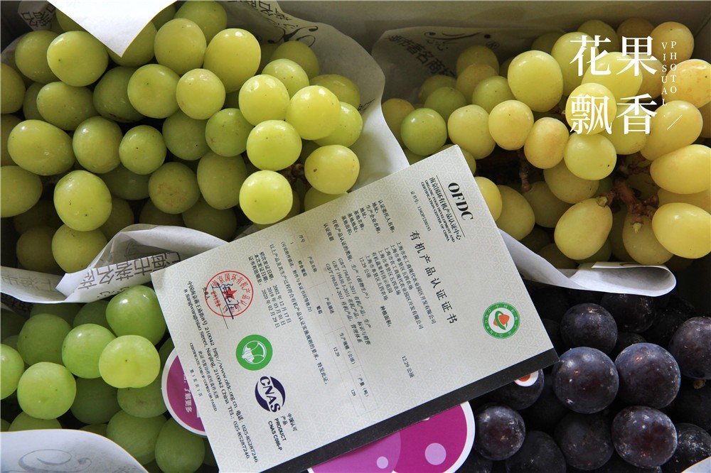 有机农产品的意义,有机的意义