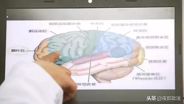 蒙眼也能识字?!培训学校惊现“超能少年”,竟是这样“炼”成的……