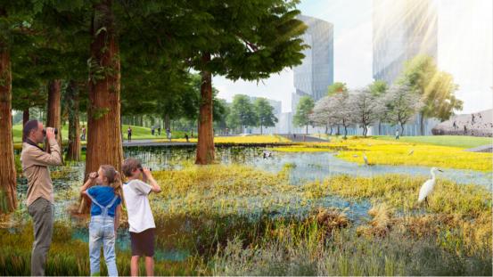 天府新区招商人字绿廊,天府新区人字绿廊规划图