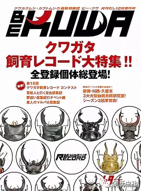 缃楁皬铏ぞ,缃楁皬铏ぞ涓婃捣