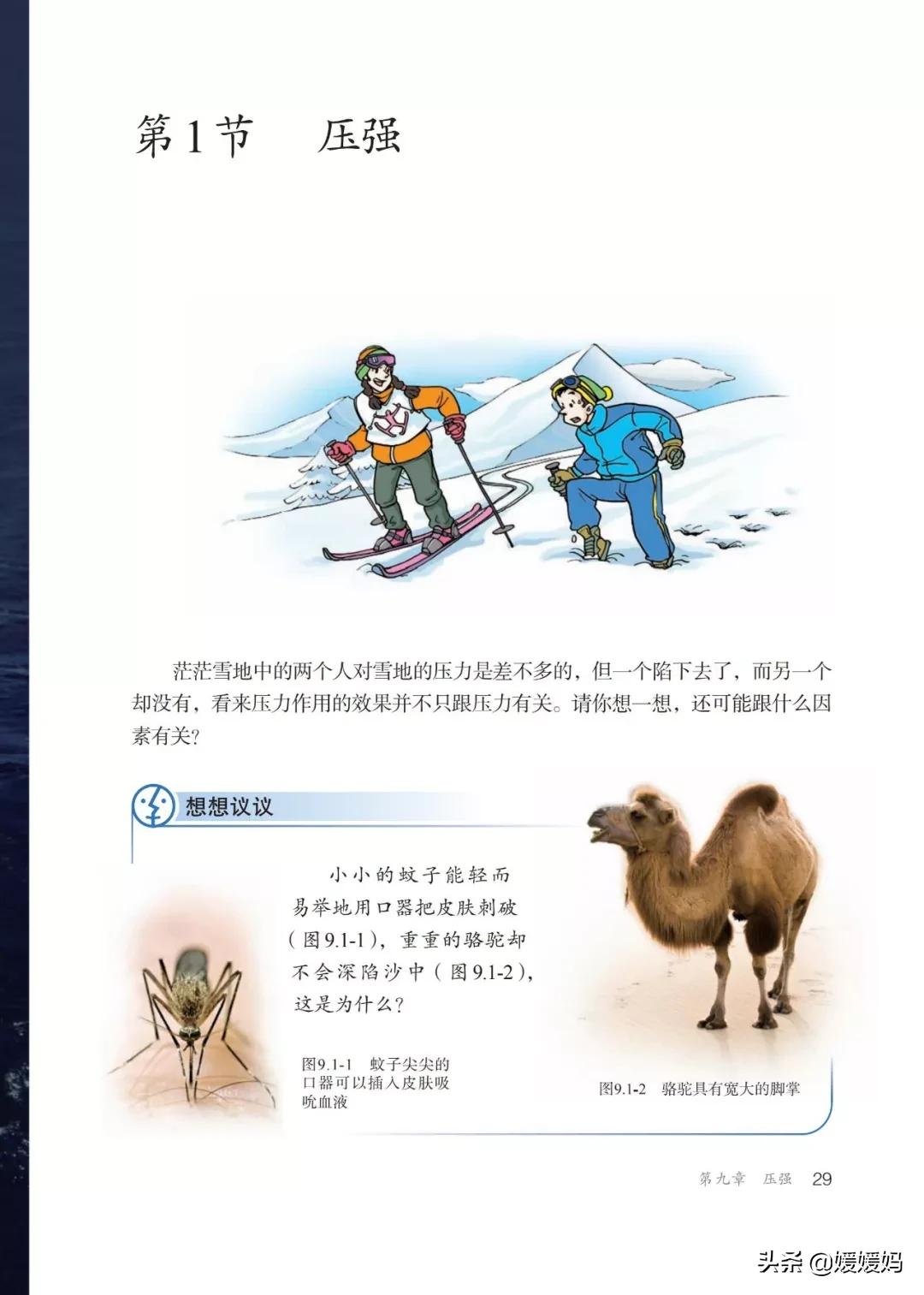 寒假八年级物理预习教辅,物理沪粤版八年级下册课本教材