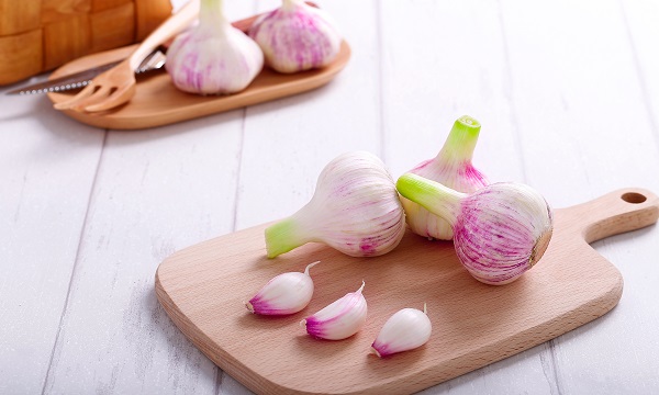 山西朔州名片,朔州标志