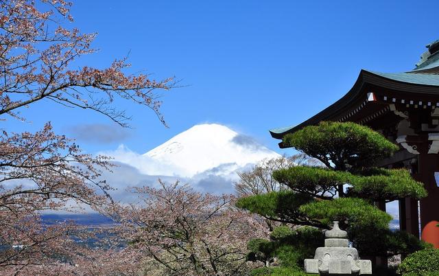 游玩东京2020奥运会,东京除了东京还有哪些玩的地方