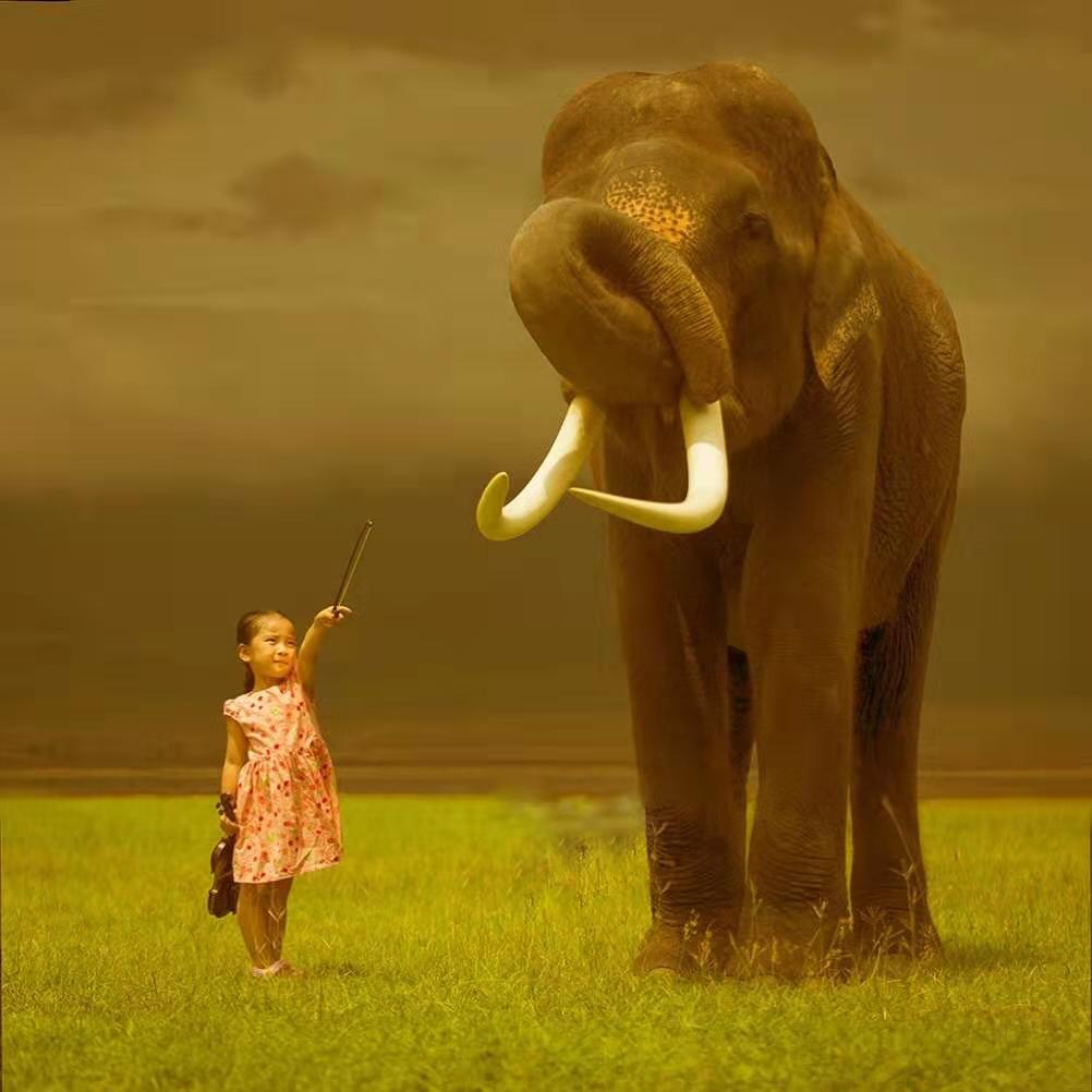 与君初相识犹似故人归朗读,与君初相识犹似故人归下句