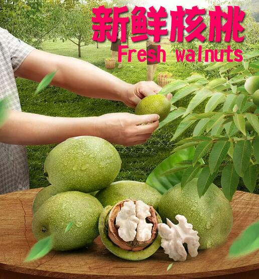 云南高山土特产新鲜去青皮湿核桃,云南生核桃鲜核桃