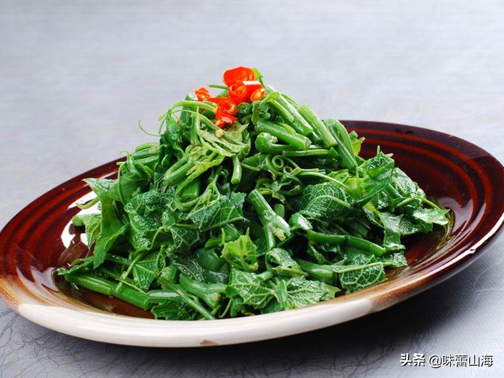 龙须菜和瓜苗菜哪个好吃,海石花菜龙须菜哪个好吃