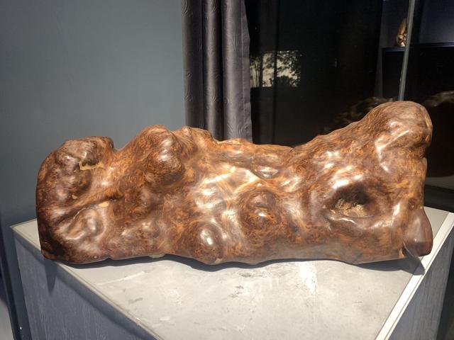 川料崖柏产地,崖柏和刺柏有什么区别