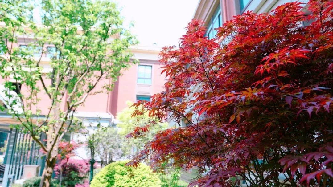 许昌市实验中学招生电话,许昌魏都区实验中学招生公告