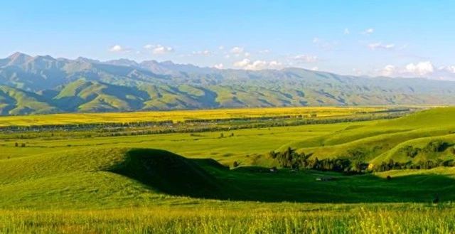 椋為┌鏂扮枂,椹伴獘鐤嗗煙鏃呮父