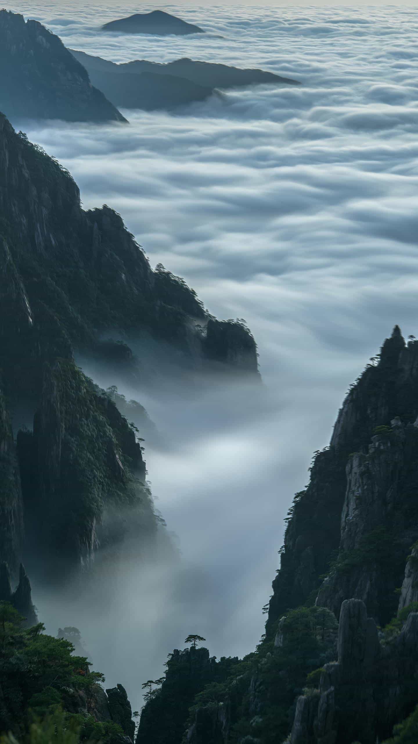 文科生汉语言文学专业就业前景,文科生考研什么专业就业前景好