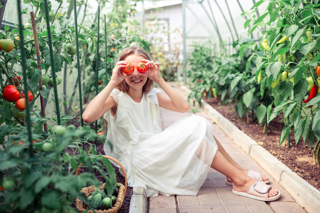 老王惩治校园欺凌,老王惩治校园暴力