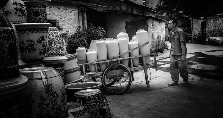 8月向日葵云海（徽州百工、黟县的朋友圈、瓷都景德镇）采风