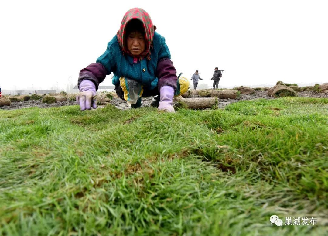 最好的人工草坪足球场,巢湖免费足球场