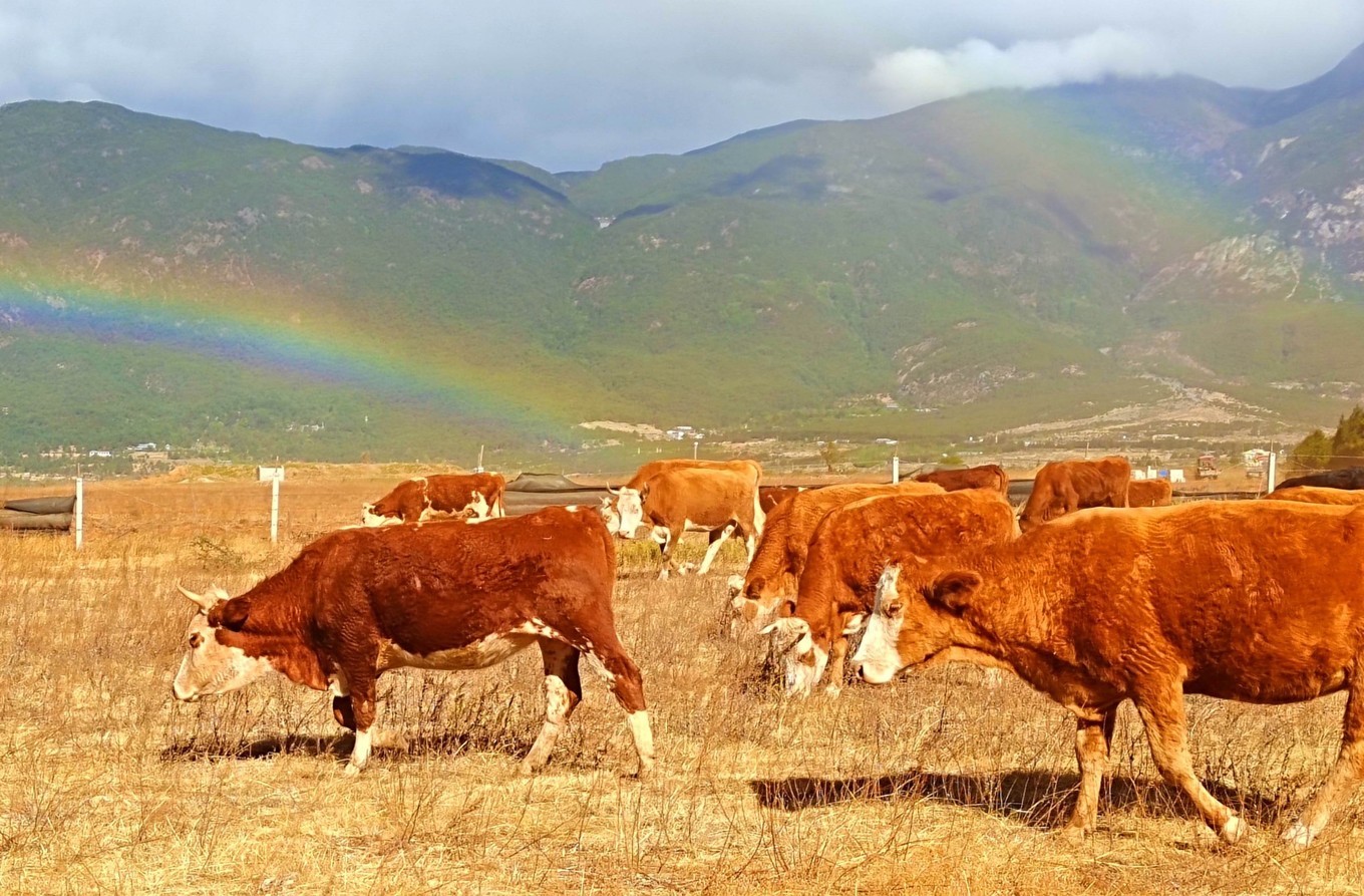 自驾云南滇藏,自驾滇西北旅游