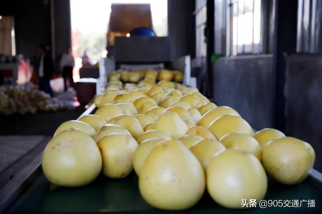 鐢靛晢鍔╁姏浜庨兘鑴愭棣欓鍗冮噷,婀栧崡鐢靛晢鎵惰传鐗逛骇