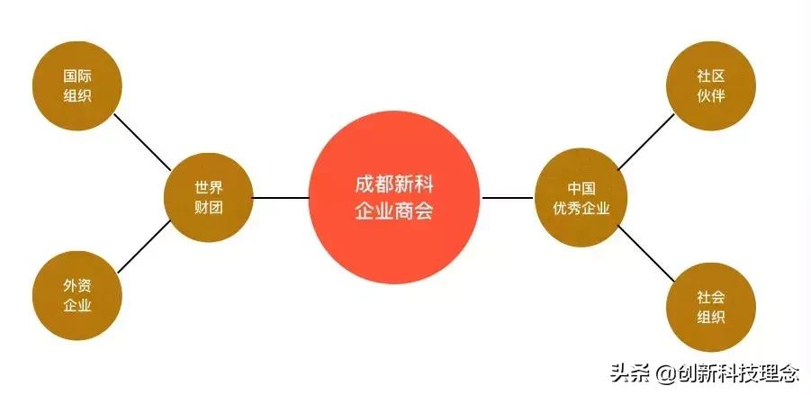 成都新科,成都新科集团简介