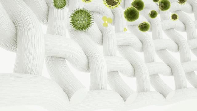 袜子专用清理剂,袜子专用抗菌防臭剂