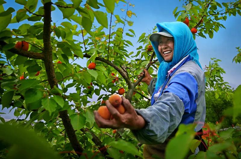 大连60条精品旅游线路,大连旅游一日游线路推荐